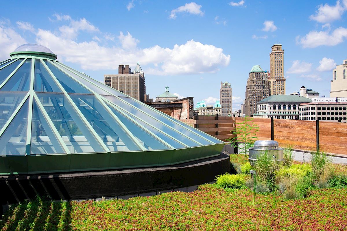 Cooper & Cooper Duffield Street